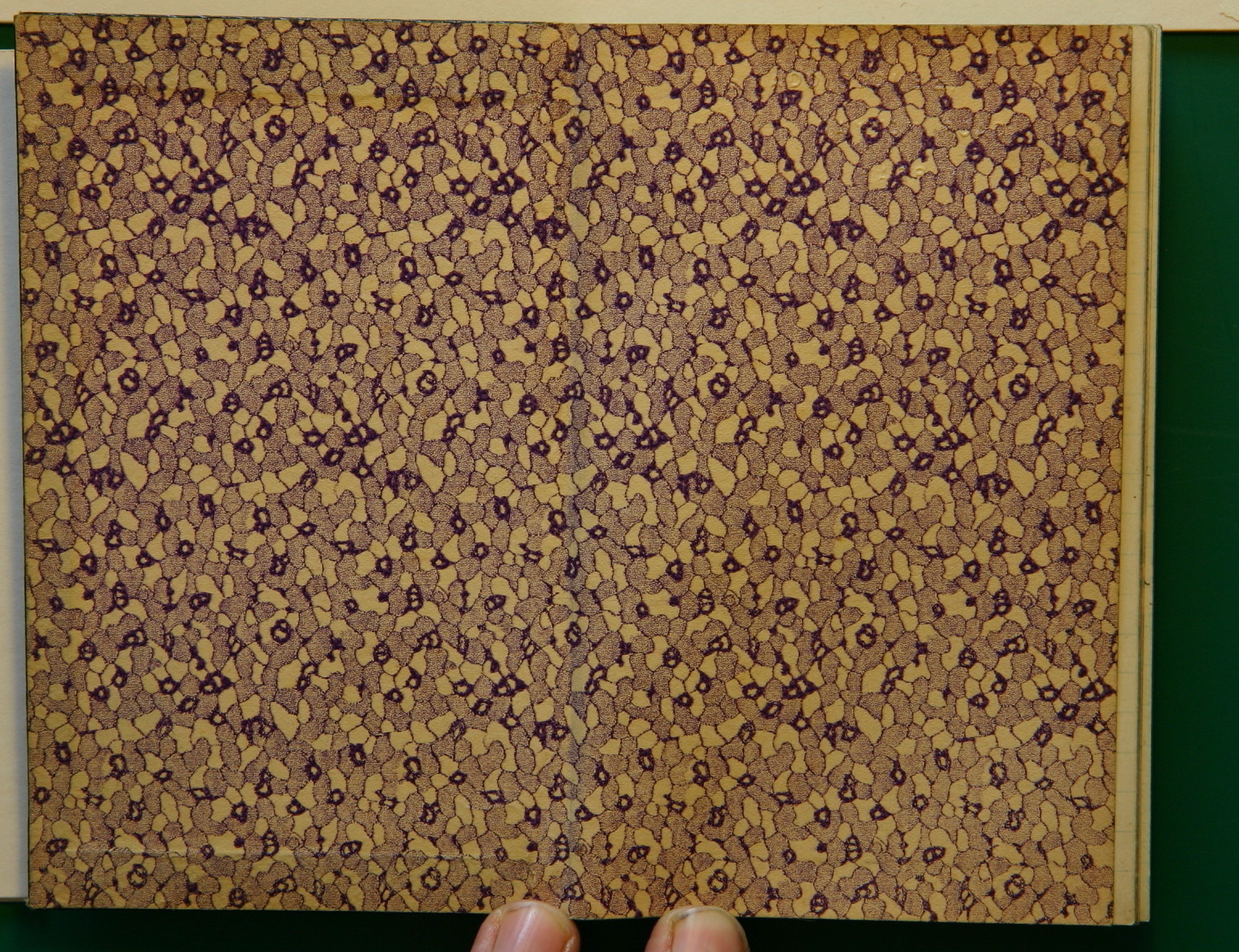 Scanned image of page book05 img_4358.jpg